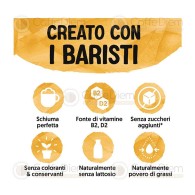 Alpro Barista Oat 1 Litro